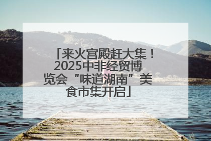 来火宫殿赶大集！2025中非经贸博览会“味道湖南”美食市集开启