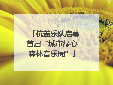 杭盖乐队启幕首届“城市绿心森林音乐周”