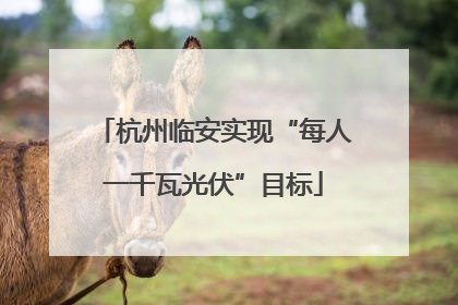 杭州临安实现“每人一千瓦光伏”目标