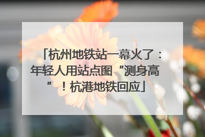 杭州地铁站一幕火了：年轻人用站点图“测身高”！杭港地铁回应