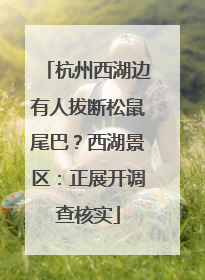 杭州西湖边有人拔断松鼠尾巴？西湖景区：正展开调查核实