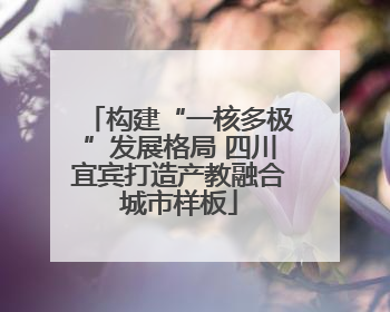 构建“一核多极”发展格局 四川宜宾打造产教融合城市样板