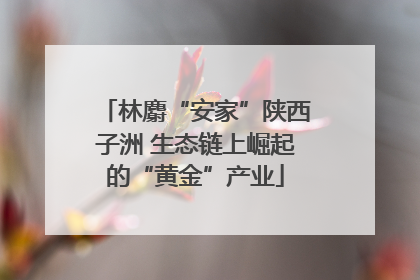 林麝“安家”陕西子洲 生态链上崛起的“黄金”产业