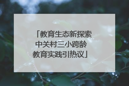 教育生态新探索 中关村三小跨龄教育实践引热议