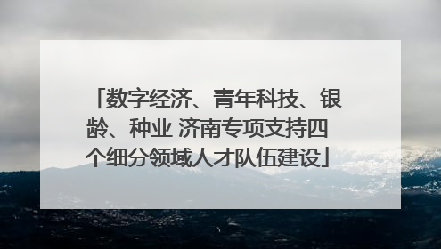 数字经济、青年科技、银龄、种业 济南专项支持四个细分领域人才队伍建设