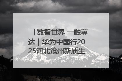 数智世界 一触冀达｜华为中国行2025河北沧州新质生产力峰会成功举办