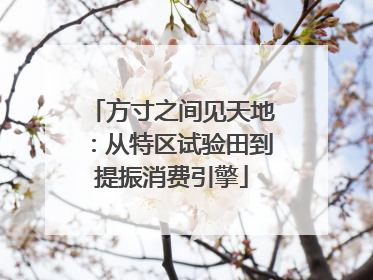 方寸之间见天地：从特区试验田到提振消费引擎