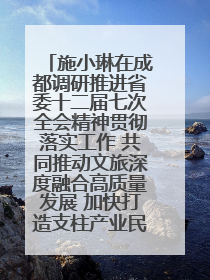 施小琳在成都调研推进省委十二届七次全会精神贯彻落实工作 共同推动文旅深度融合高质量发展 加快打造支柱产业民生产业幸福产业