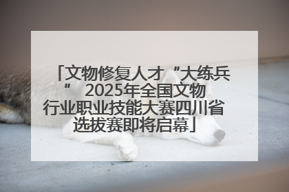 文物修复人才“大练兵” 2025年全国文物行业职业技能大赛四川省选拔赛即将启幕