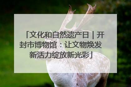 文化和自然遗产日｜开封市博物馆：让文物焕发新活力绽放新光彩
