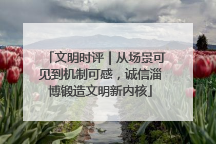 文明时评｜从场景可见到机制可感，诚信淄博锻造文明新内核