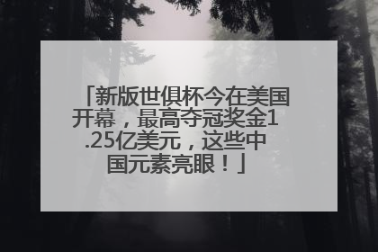 新版世俱杯今在美国开幕，最高夺冠奖金1.25亿美元，这些中国元素亮眼！