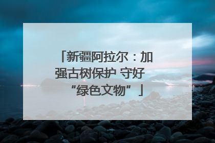 新疆阿拉尔：加强古树保护 守好“绿色文物”