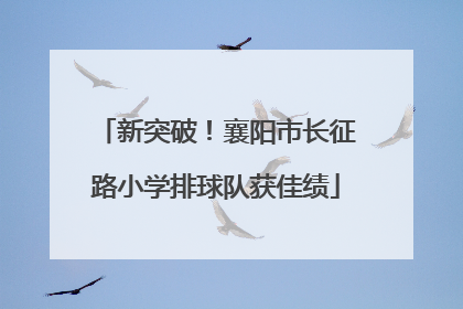新突破！襄阳市长征路小学排球队获佳绩