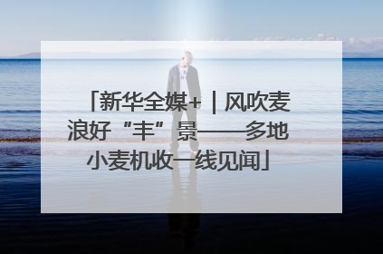 新华全媒+｜风吹麦浪好“丰”景——多地小麦机收一线见闻