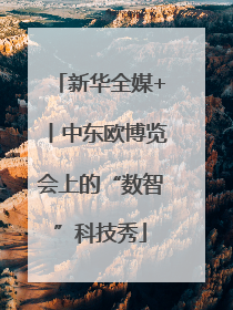 新华全媒+丨中东欧博览会上的“数智”科技秀