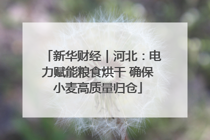 新华财经｜河北：电力赋能粮食烘干 确保小麦高质量归仓