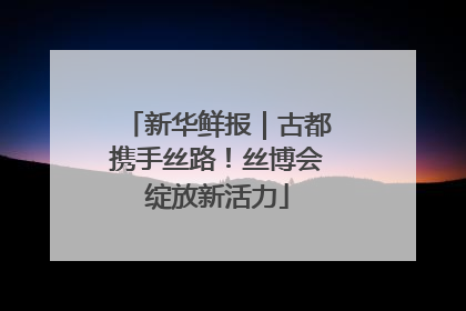 新华鲜报｜古都携手丝路！丝博会绽放新活力