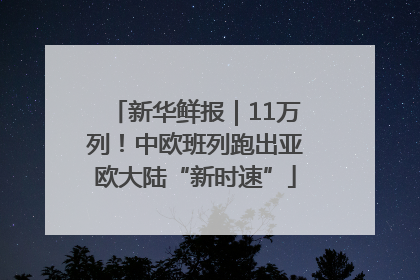 新华鲜报｜11万列！中欧班列跑出亚欧大陆“新时速”