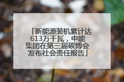 新能源装机累计达613万千瓦，申能集团在第三届碳博会发布社会责任报告