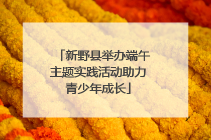 新野县举办端午主题实践活动助力青少年成长