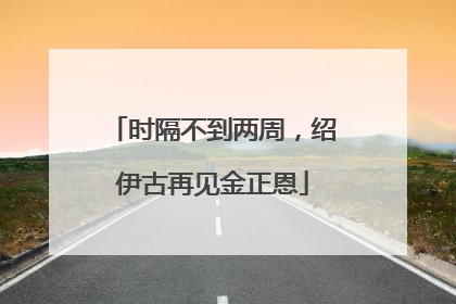 时隔不到两周，绍伊古再见金正恩