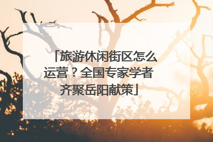 旅游休闲街区怎么运营？全国专家学者齐聚岳阳献策