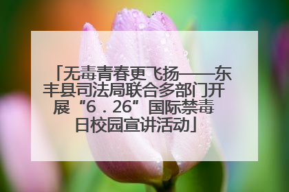 无毒青春更飞扬——东丰县司法局联合多部门开展“6．26”国际禁毒日校园宣讲活动