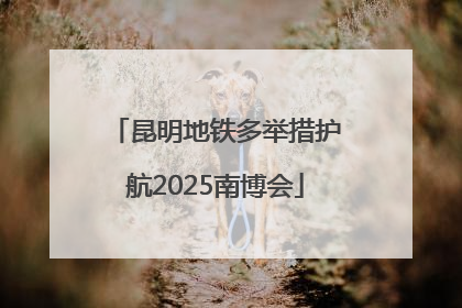 昆明地铁多举措护航2025南博会