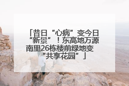 昔日“心病”变今日“新景”！东高地万源南里26栋楼前绿地变“共享花园”