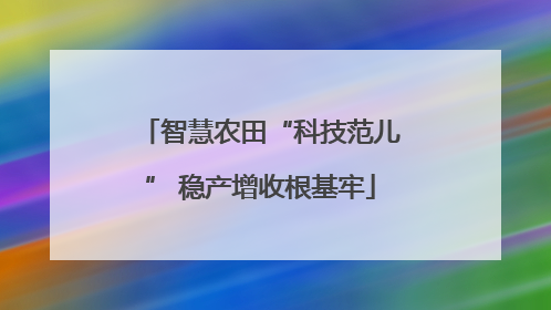 智慧农田“科技范儿” 稳产增收根基牢