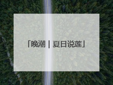 晚潮｜夏日说莲