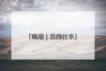 晚潮｜蔷薇往事