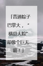 普通粽子巴掌大，“横县大粽”却像个巨无霸！