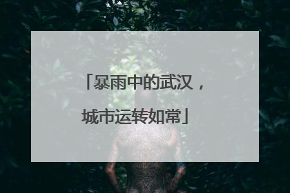 暴雨中的武汉，城市运转如常