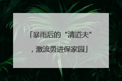 暴雨后的“清道夫”，激流勇进保家园