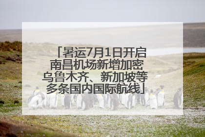 暑运7月1日开启 南昌机场新增加密乌鲁木齐、新加坡等多条国内国际航线