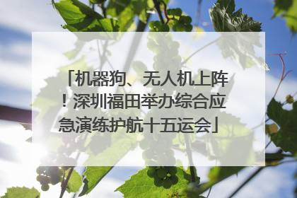 机器狗、无人机上阵！深圳福田举办综合应急演练护航十五运会