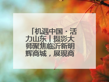 机遇中国・活力山东丨摄影大师聚焦临沂新明辉商城，展现商贸物流新风貌
