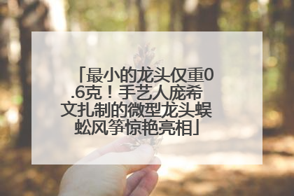最小的龙头仅重0.6克！手艺人庞希文扎制的微型龙头蜈蚣风筝惊艳亮相