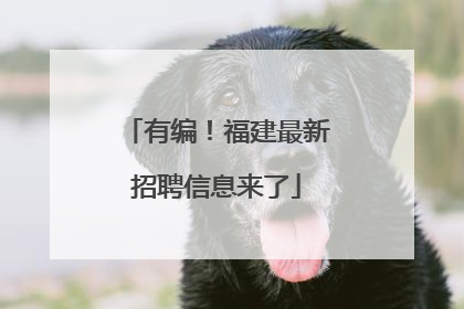 有编！福建最新招聘信息来了