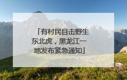 有村民目击野生东北虎，黑龙江一地发布紧急通知