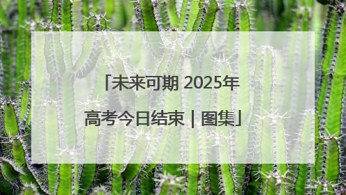 未来可期 2025年高考今日结束｜图集