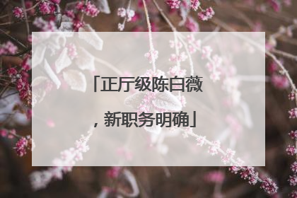 正厅级陈白薇，新职务明确