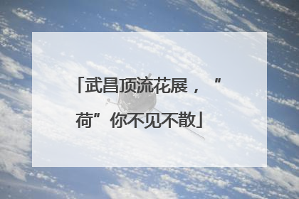 武昌顶流花展，“荷”你不见不散