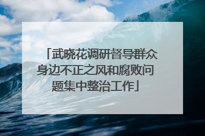 武晓花调研督导群众身边不正之风和腐败问题集中整治工作
