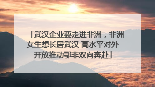 武汉企业要走进非洲，非洲女生想长居武汉 高水平对外开放推动鄂非双向奔赴