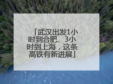 武汉出发1小时到合肥、3小时到上海，这条高铁有新进展