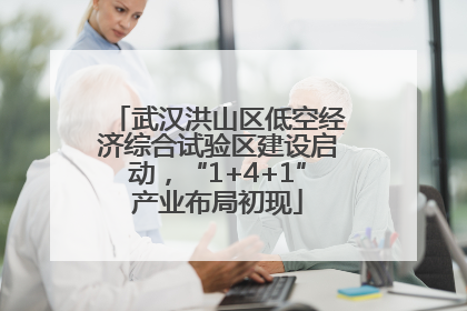 武汉洪山区低空经济综合试验区建设启动，“1+4+1”产业布局初现
