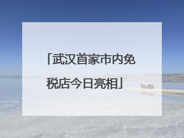 武汉首家市内免税店今日亮相